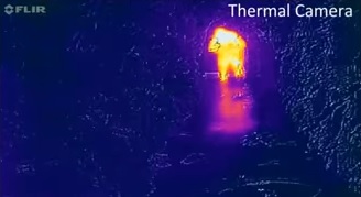 Thermal camera in Carcass Cave